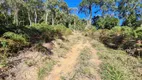 Foto 32 de Fazenda/Sítio à venda, 40000m² em , São Pedro de Alcântara