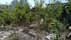 Foto 4 de Lote/Terreno para venda ou aluguel, 1948m² em Vila Aricanduva, São Paulo