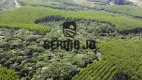 Foto 8 de Fazenda/Sítio com 5 Quartos à venda, 119300000m² em Zona Rural, Mariana Pimentel