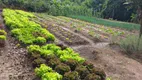 Foto 6 de Lote/Terreno à venda, 1000m² em Mirante do Vale, Jacareí