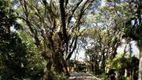 Foto 6 de Lote/Terreno à venda, 518m² em Bosque do Vianna, Cotia
