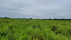 Foto 19 de Fazenda/Sítio à venda, 6135000m² em Zona Rural, Santo Antônio do Leverger