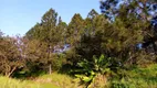 Foto 11 de Lote/Terreno à venda, 8653m² em Freitas, Sapucaia do Sul