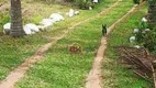 Foto 2 de Fazenda/Sítio com 3 Quartos à venda, 18000m² em Dos Souzas, Monteiro Lobato