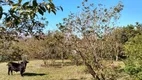 Foto 8 de Lote/Terreno à venda, 1m² em Belém Novo, Porto Alegre