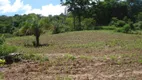 Foto 6 de Lote/Terreno à venda, 6660000m² em Centro, Cristalândia