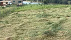 Foto 17 de Lote/Terreno à venda, 5000m² em Solar do Madeira, Contagem