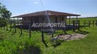 Foto 6 de Fazenda/Sítio com 4 Quartos à venda, 8410000m² em Centro, Castanhal