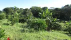 Foto 28 de Fazenda/Sítio com 2 Quartos à venda, 152700m² em Agro Brasil, Cachoeiras de Macacu