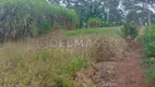 Foto 2 de Lote/Terreno à venda, 600m² em Curral, Ibiúna