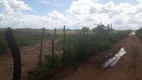 Foto 11 de Fazenda/Sítio com 5 Quartos à venda, 570000m² em Centro, 