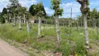 Foto 16 de Lote/Terreno à venda, 110000m² em , Monte Belo do Sul