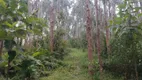 Foto 2 de Fazenda/Sítio à venda, 80000m² em Campinas, Campo Alegre