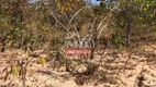 Foto 12 de Fazenda/Sítio à venda, 4646m² em Zona Rural, Colinas do Sul