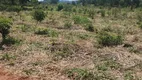 Foto 12 de Fazenda/Sítio à venda, 500000m² em Zona Rural, Anastácio