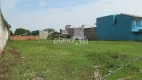 Foto 3 de Lote/Terreno para alugar em Santa Cruz, Gravataí