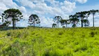 Foto 17 de Fazenda/Sítio à venda, 440000m² em Santa Izabel, São Joaquim