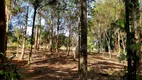 Foto 25 de Fazenda/Sítio com 3 Quartos à venda, 48000m² em Maracanã, Jarinu