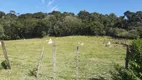 Foto 7 de Fazenda/Sítio à venda, 48400m² em Zona Rural, Porto Feliz