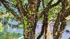 Foto 21 de Fazenda/Sítio com 3 Quartos à venda, 160m² em Zona Rural, Pinhalzinho