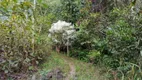 Foto 10 de Fazenda/Sítio com 1 Quarto à venda, 10m² em Zona Rural, Colinas do Sul