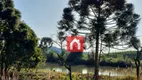 Foto 11 de Fazenda/Sítio com 2 Quartos à venda, 120m² em Zona Rural, Caxias do Sul