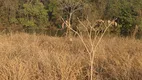 Foto 8 de Fazenda/Sítio com 6 Quartos à venda, 7000m² em Condomínio Nosso Rancho, Contagem