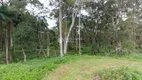 Foto 50 de Lote/Terreno à venda, 99443m² em Vargem Pequena, Florianópolis