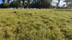 Foto 12 de Fazenda/Sítio com 5 Quartos à venda, 8m² em , Cocalzinho de Goiás