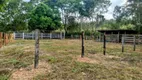 Foto 18 de Fazenda/Sítio com 4 Quartos à venda, 126m² em Zona Rural, Colinas do Sul