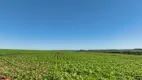 Foto 19 de Fazenda/Sítio com 7 Quartos à venda em Campos do Iguacu, Foz do Iguaçu