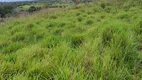 Foto 6 de Fazenda/Sítio com 5 Quartos à venda, 40000m² em Monte Alegre, Monte Alegre