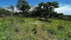 Foto 14 de Lote/Terreno à venda, 9000m² em RANCHO TRÊS LAGOAS, Igarapé