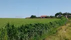 Foto 20 de Fazenda/Sítio com 3 Quartos à venda, 150m² em Zona Rural, Pilar do Sul