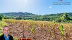 Foto 16 de Fazenda/Sítio à venda, 65000m² em Padilha, Taquara