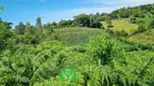 Foto 7 de Fazenda/Sítio à venda, 68000m² em Centro, Monte Belo do Sul