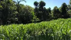 Foto 11 de Casa com 1 Quarto à venda, 1200m² em , Brumadinho