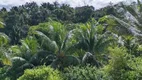 Foto 13 de Fazenda/Sítio com 3 Quartos à venda, 200m² em Caixa D Agua, Lauro de Freitas