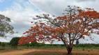 Foto 3 de Fazenda/Sítio à venda, 20286m² em Centro, Funilândia