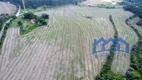 Foto 8 de Fazenda/Sítio com 4 Quartos à venda, 246400m² em Zona Rural, Pilar do Sul