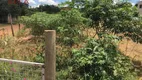 Foto 3 de Lote/Terreno à venda, 300m² em Chácara Bela Vista, São José do Rio Preto