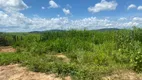 Foto 20 de Fazenda/Sítio à venda, 1130000m² em Centro, Salinas