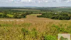 Foto 12 de Fazenda/Sítio com 2 Quartos à venda, 145200000m² em Centro, Cesário Lange