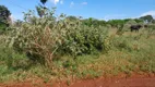 Foto 2 de Lote/Terreno à venda, 5000m² em Chacaras Di Carvalho, Uberaba