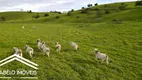 Foto 8 de Fazenda/Sítio à venda, 6000000m² em Distrito Santa Terezinha, Água Preta