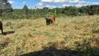 Foto 4 de Fazenda/Sítio com 2 Quartos à venda, 180000m² em Zona Rural , Batatais