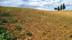 Foto 35 de Fazenda/Sítio com 5 Quartos à venda, 17400m² em Colonia Marcelino, São José dos Pinhais