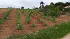 Foto 5 de Lote/Terreno à venda, 60m² em Centro, São Luiz do Paraitinga