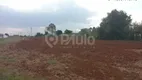 Foto 3 de Lote/Terreno à venda, 30801m² em Centro, Saltinho