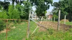 Foto 2 de Lote/Terreno à venda em Cruzeiro, Caxias do Sul